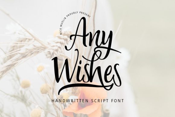 Any Wishes Script Handwritten Font for Joyful Brand Campaigns