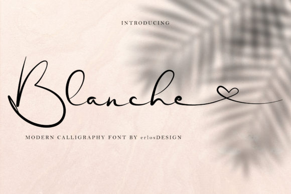 Blanche: A Delicate Script Handwritten Font for Elegant Branding