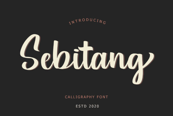 Sebitang: A Graceful Script Handwritten Font for Campaign Headings