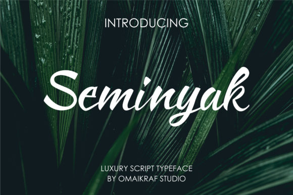 Seminyak: A Premium Script Handwritten Font for Editorial Design