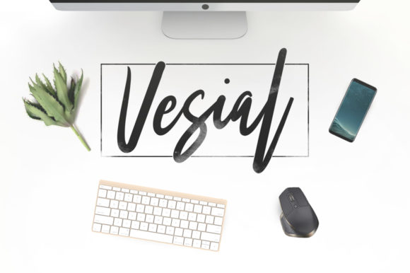 Vesial: A Casual Handwritten Font for Authentic Branding